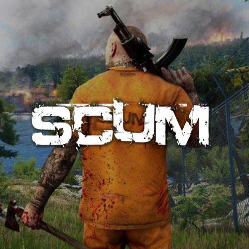 Hébergeur Scum