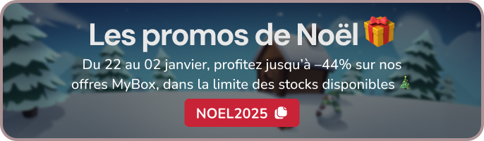 Promos de Noël
